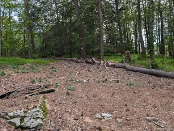 Eldred-Yulan Road Call Listing Agent, NY 12792
