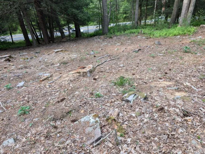 Eldred-Yulan Road Call Listing Agent, NY 12792