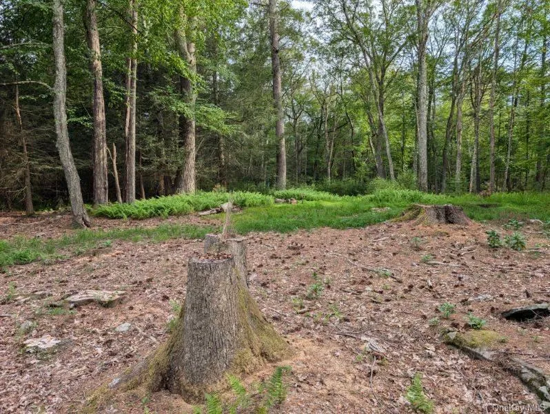 Eldred-Yulan Road Call Listing Agent, NY 12792