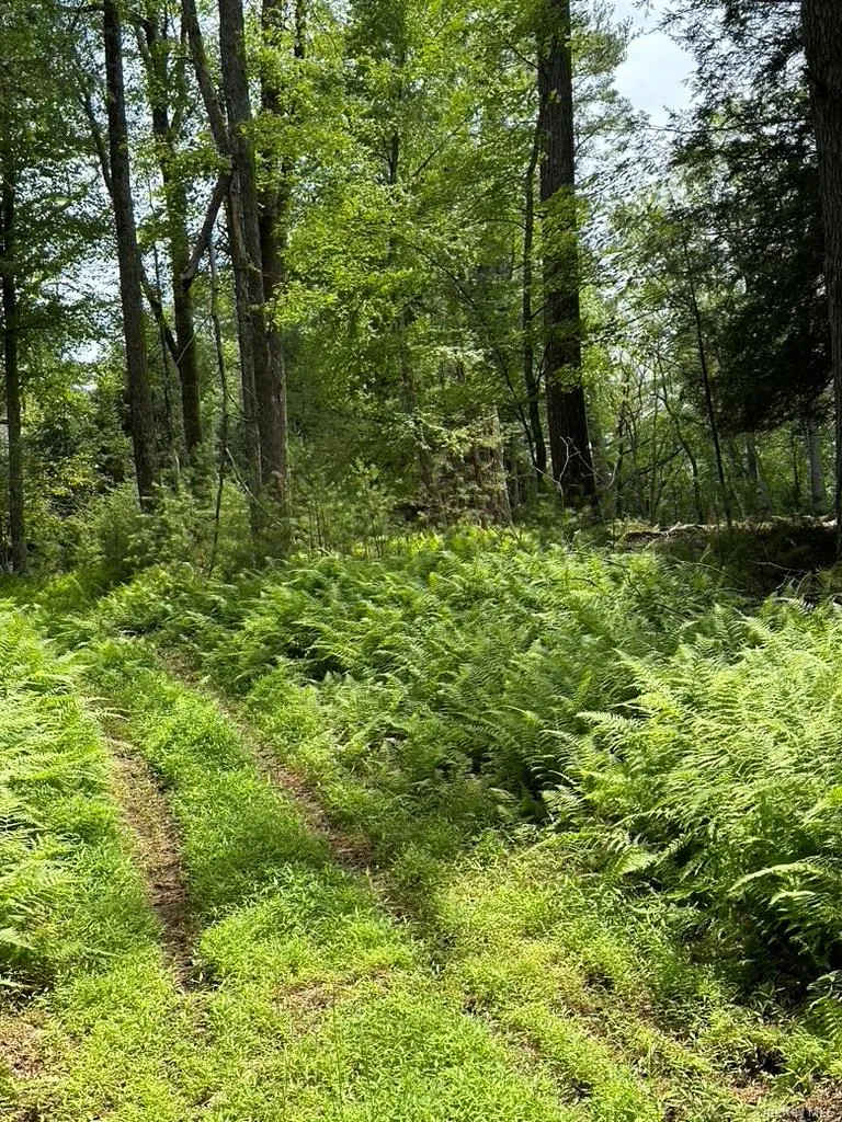Eldred-Yulan Road Call Listing Agent, NY 12792