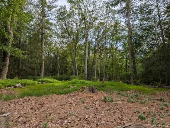 Eldred-Yulan Road Call Listing Agent, NY 12792