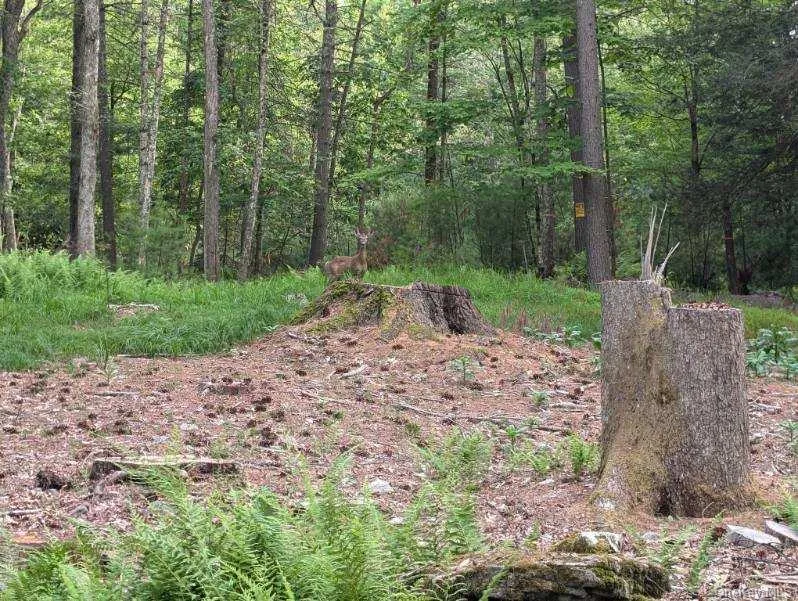 Eldred-Yulan Road Call Listing Agent, NY 12792