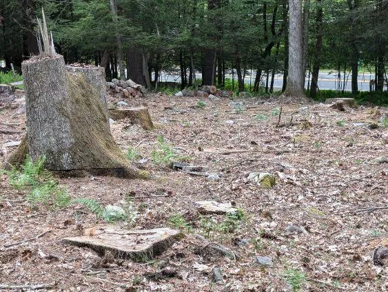 Eldred-Yulan Road Call Listing Agent, NY 12792