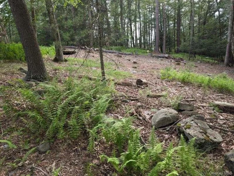 Eldred-Yulan Road Call Listing Agent, NY 12792