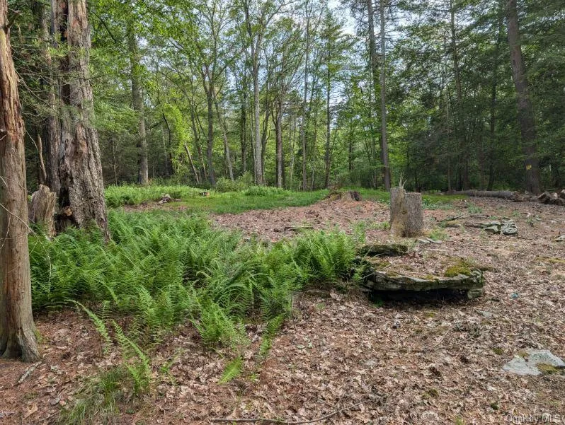 Eldred-Yulan Road Call Listing Agent, NY 12792