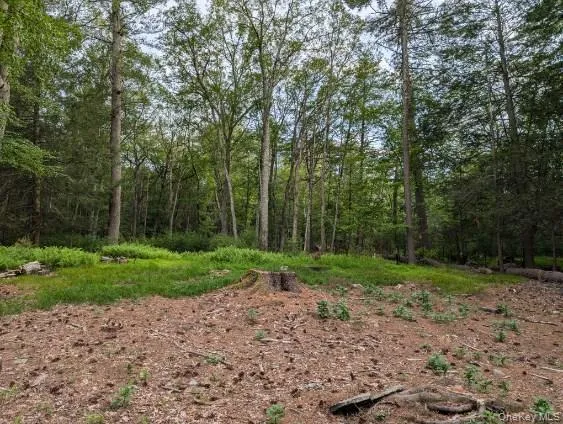 Eldred-Yulan Road Call Listing Agent, NY 12792