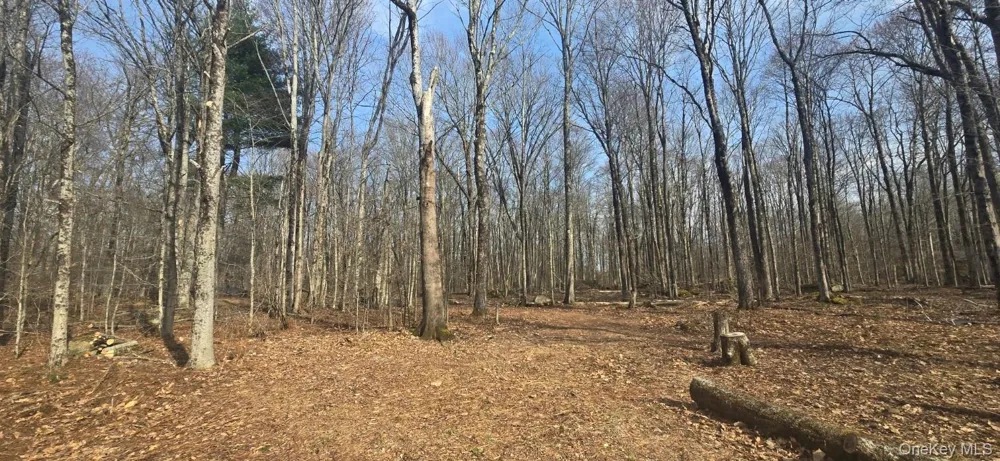 8 Starlight Drive Monticello, NY 12701