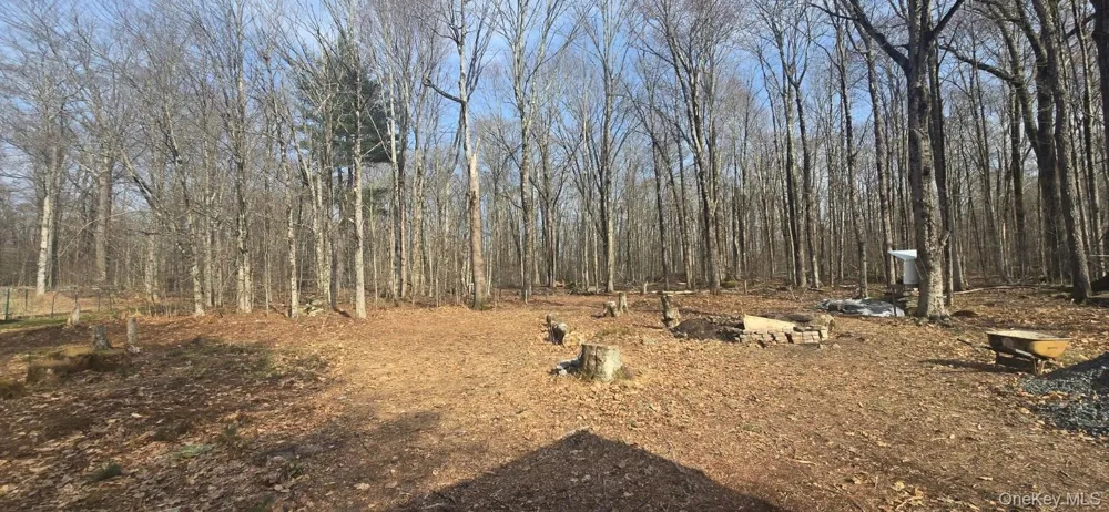 8 Starlight Drive Monticello, NY 12701
