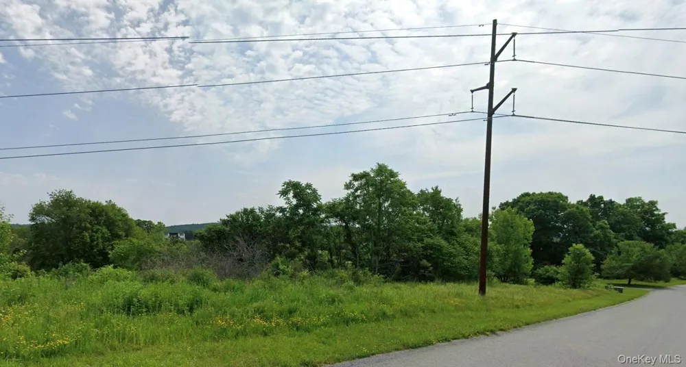 Frost Hill Road Pleasant Valley, NY 12569