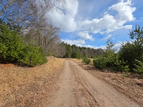 TBD Bobwhite Trail