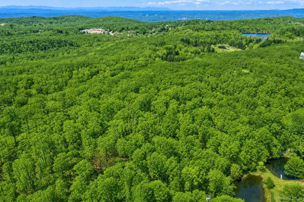 40 Meads Lane Stormville, NY 12582