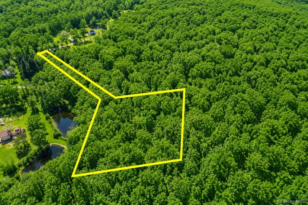 40 Meads Lane Stormville, NY 12582