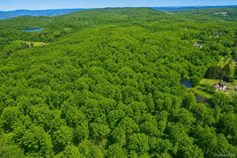 40 Meads Lane Stormville, NY 12582