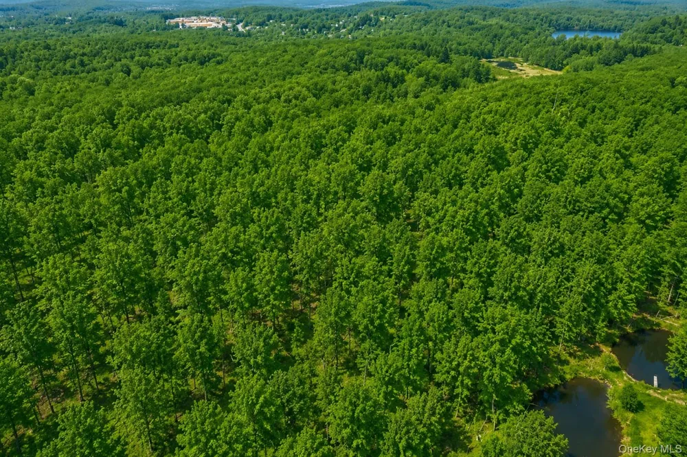 40 Meads Lane Stormville, NY 12582