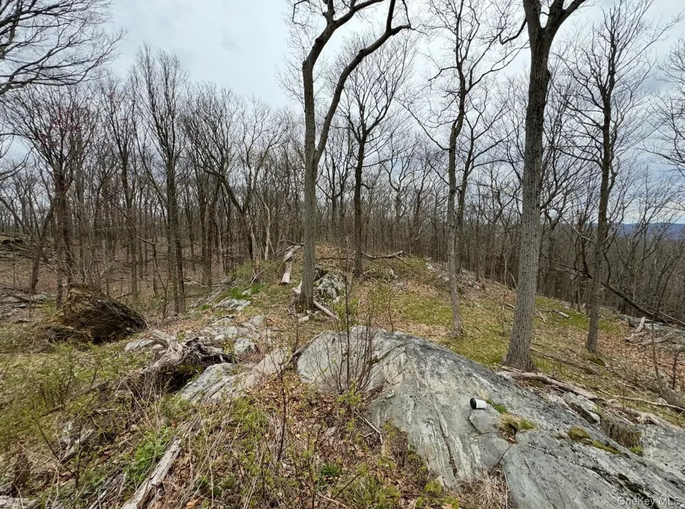 Woodmont Road Hopewell Junction, NY 12533