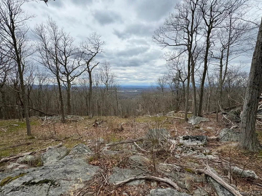 Woodmont Road Hopewell Junction, NY 12533