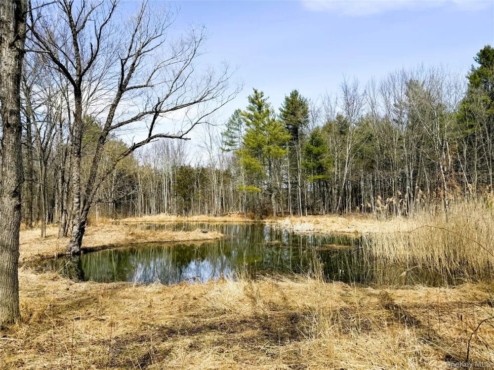 TBD Frank Hitchcock Road Cairo, NY 12413