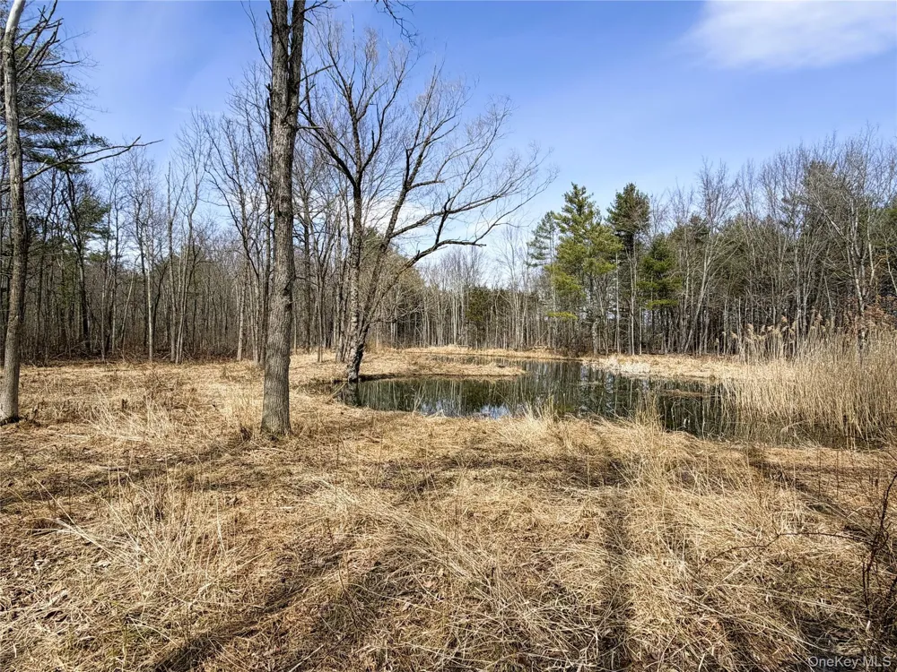 TBD Frank Hitchcock Road Cairo, NY 12413