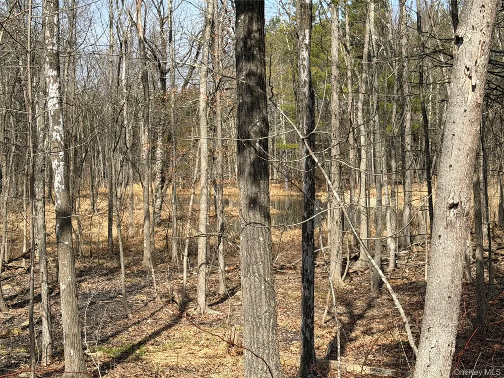 TBD Frank Hitchcock Road Cairo, NY 12413