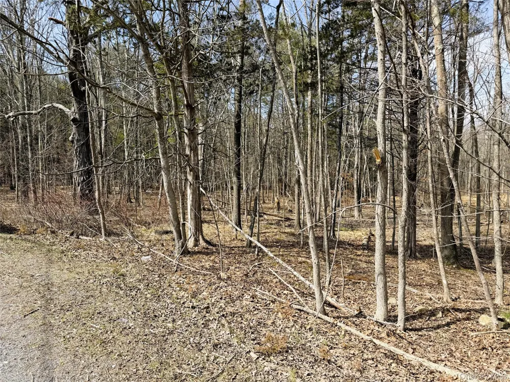 TBD Frank Hitchcock Road Cairo, NY 12413