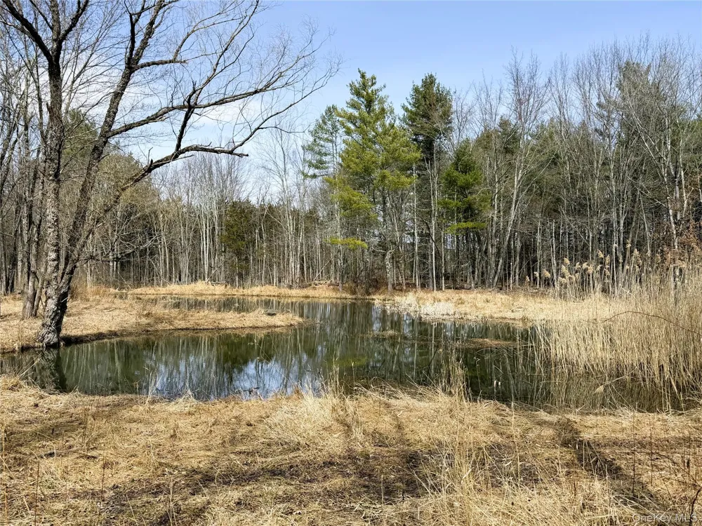 TBD Frank Hitchcock Road Cairo, NY 12413
