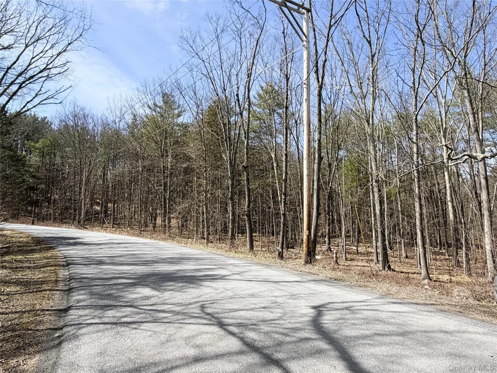 TBD Frank Hitchcock Road Cairo, NY 12413
