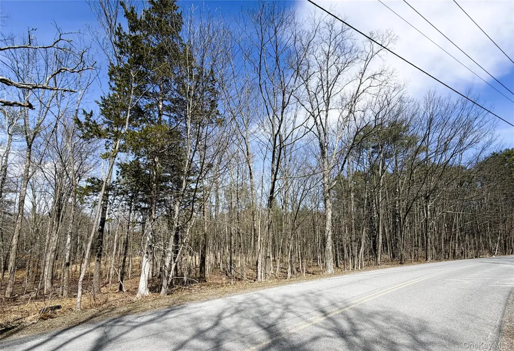 TBD Frank Hitchcock Road Cairo, NY 12413
