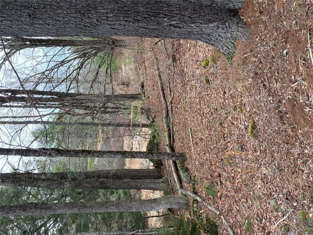 378 Gregory Road Monticello, NY 12701