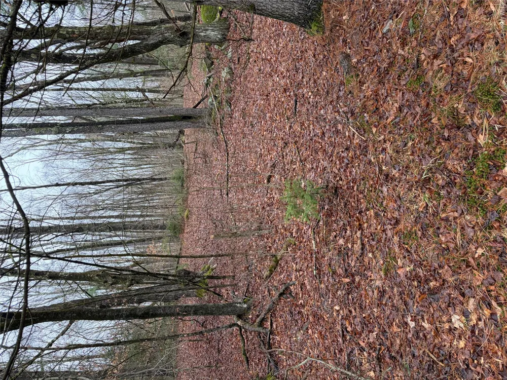 378 Gregory Road Monticello, NY 12701