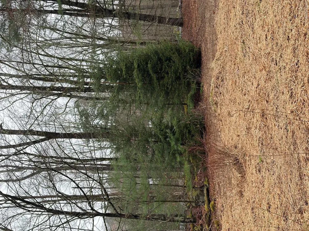 378 Gregory Road Monticello, NY 12701