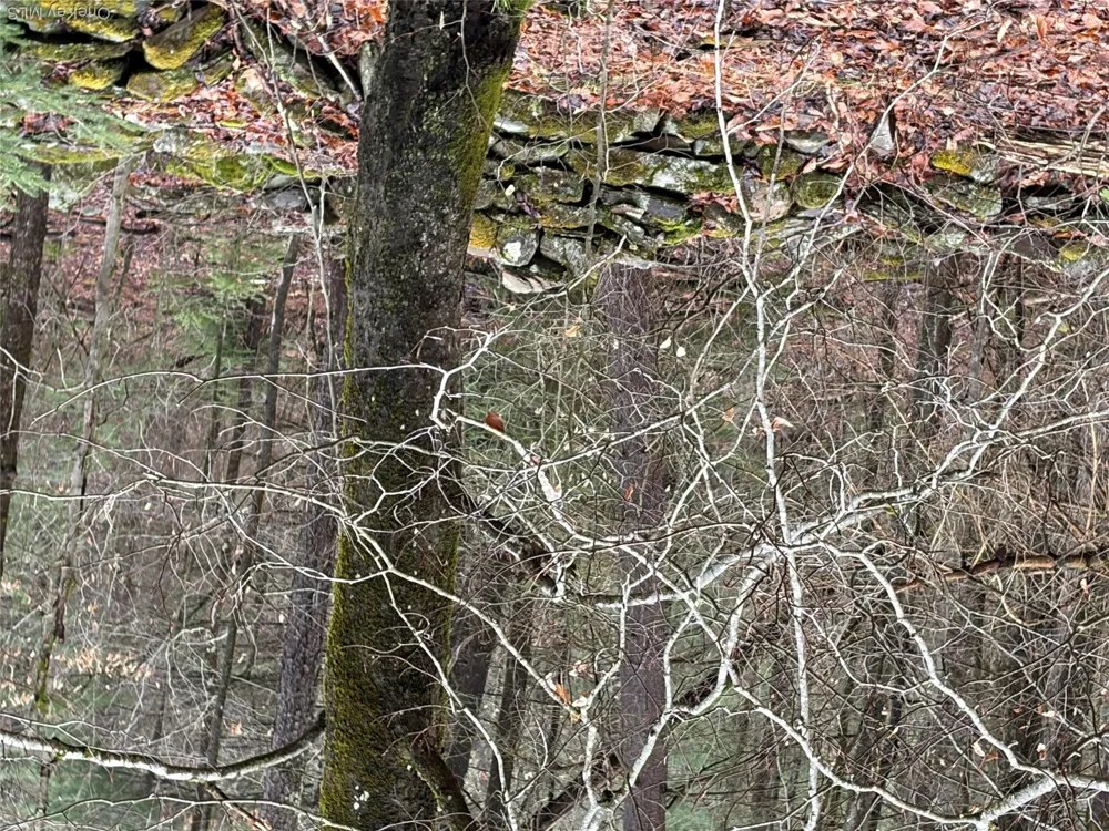 378 Gregory Road Monticello, NY 12701