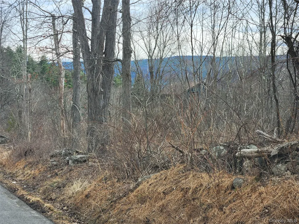 Irish Cape Road Ellenville, NY 12428
