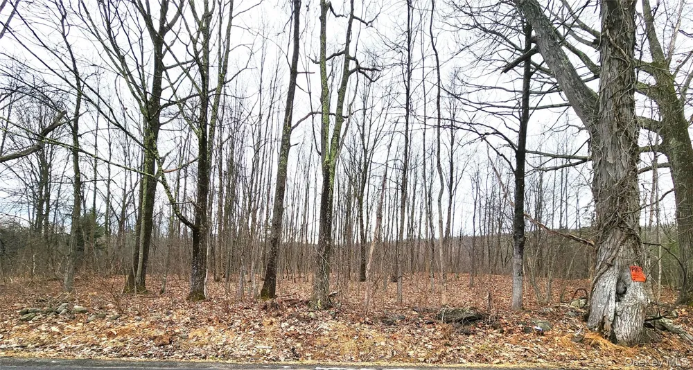 Irish Cape Road Ellenville, NY 12428