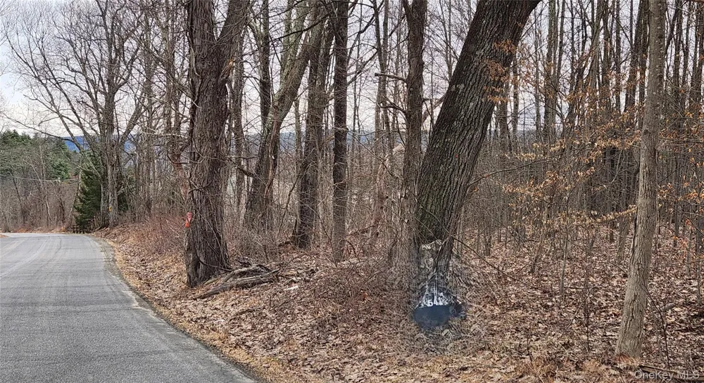Irish Cape Road Ellenville, NY 12428