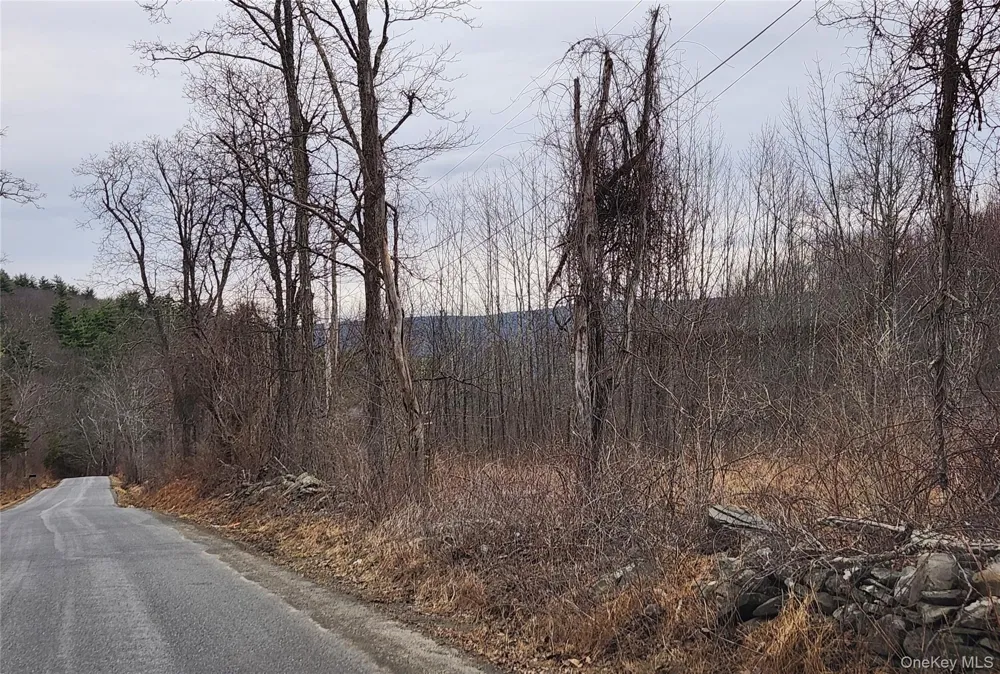 Irish Cape Road Ellenville, NY 12428