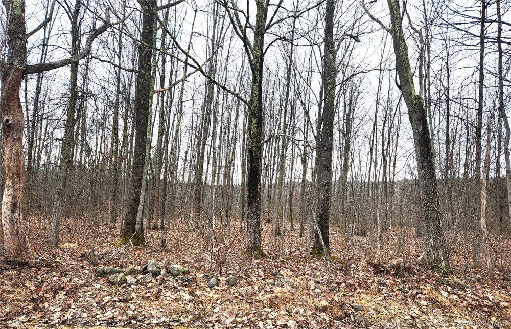 Irish Cape Road Ellenville, NY 12428