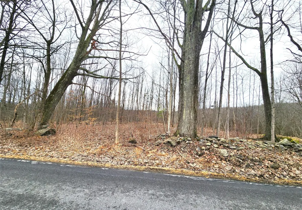 Irish Cape Road Ellenville, NY 12428