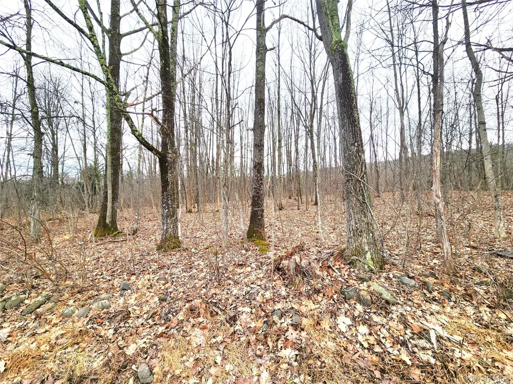 Irish Cape Road Ellenville, NY 12428
