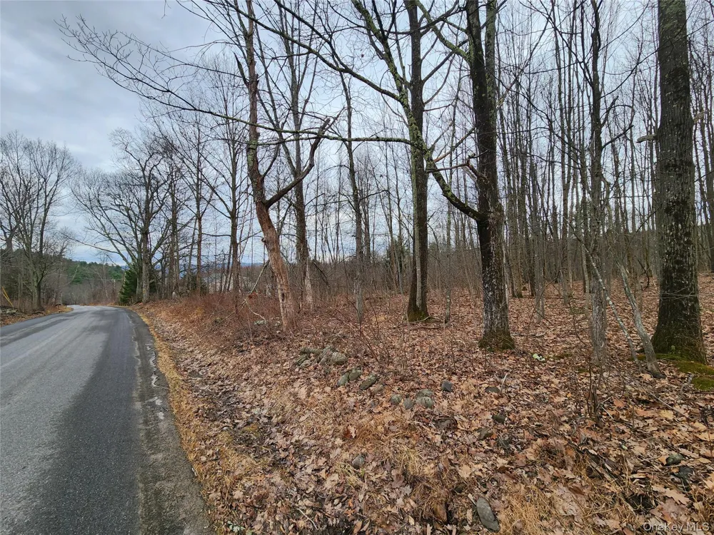 Irish Cape Road Ellenville, NY 12428