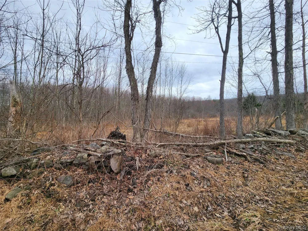 Irish Cape Road Ellenville, NY 12428