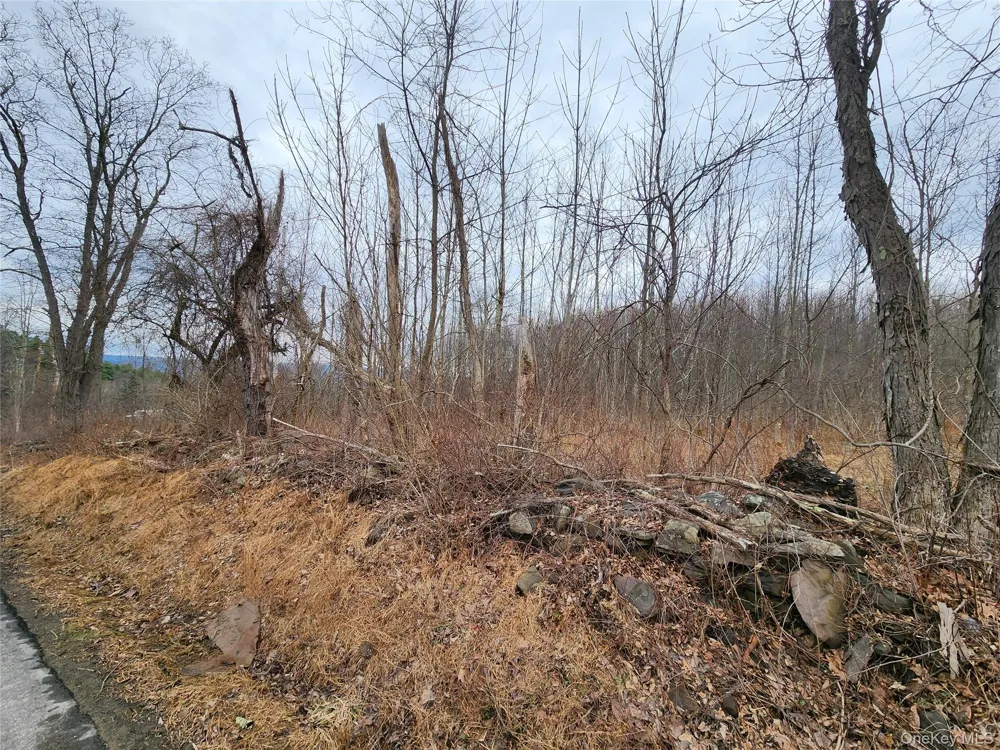 Irish Cape Road Ellenville, NY 12428
