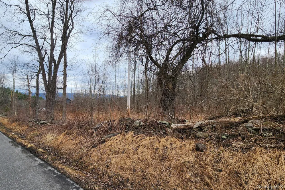 Irish Cape Road Ellenville, NY 12428