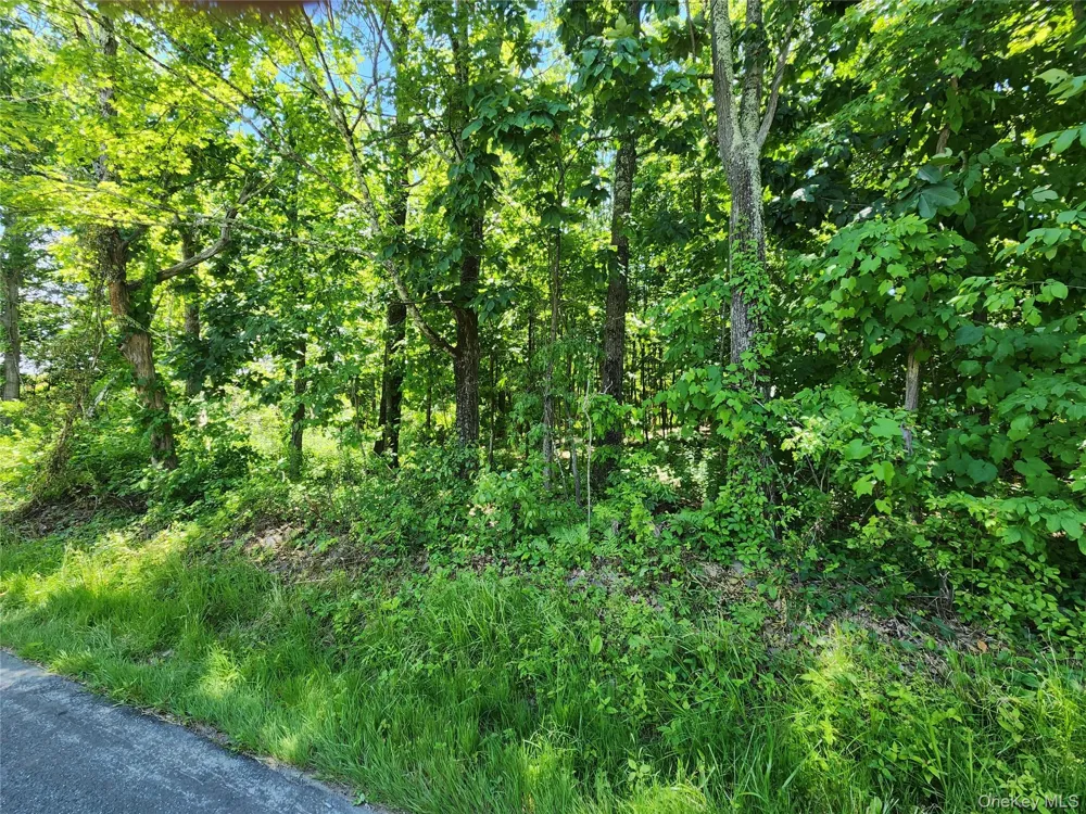 Irish Cape Road Ellenville, NY 12428