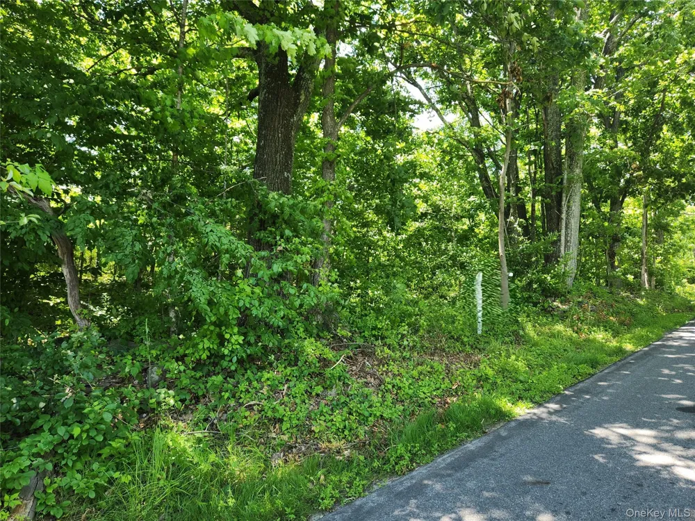 Irish Cape Road Ellenville, NY 12428