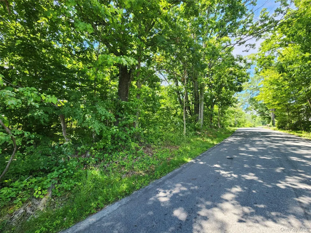 Irish Cape Road Ellenville, NY 12428