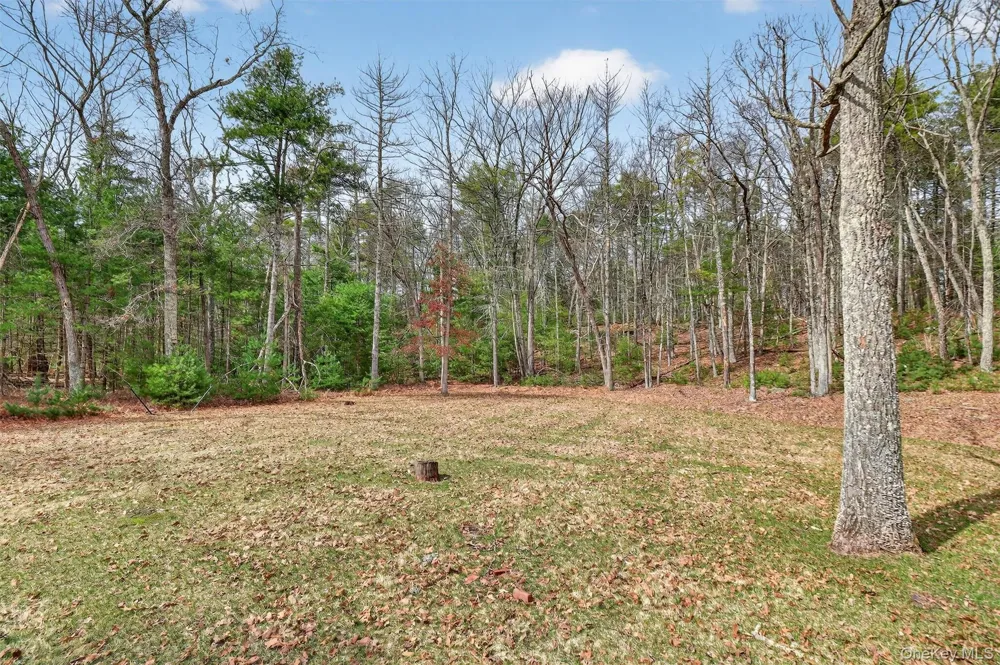 274 Morgan Hill Road Hurley, NY 12443
