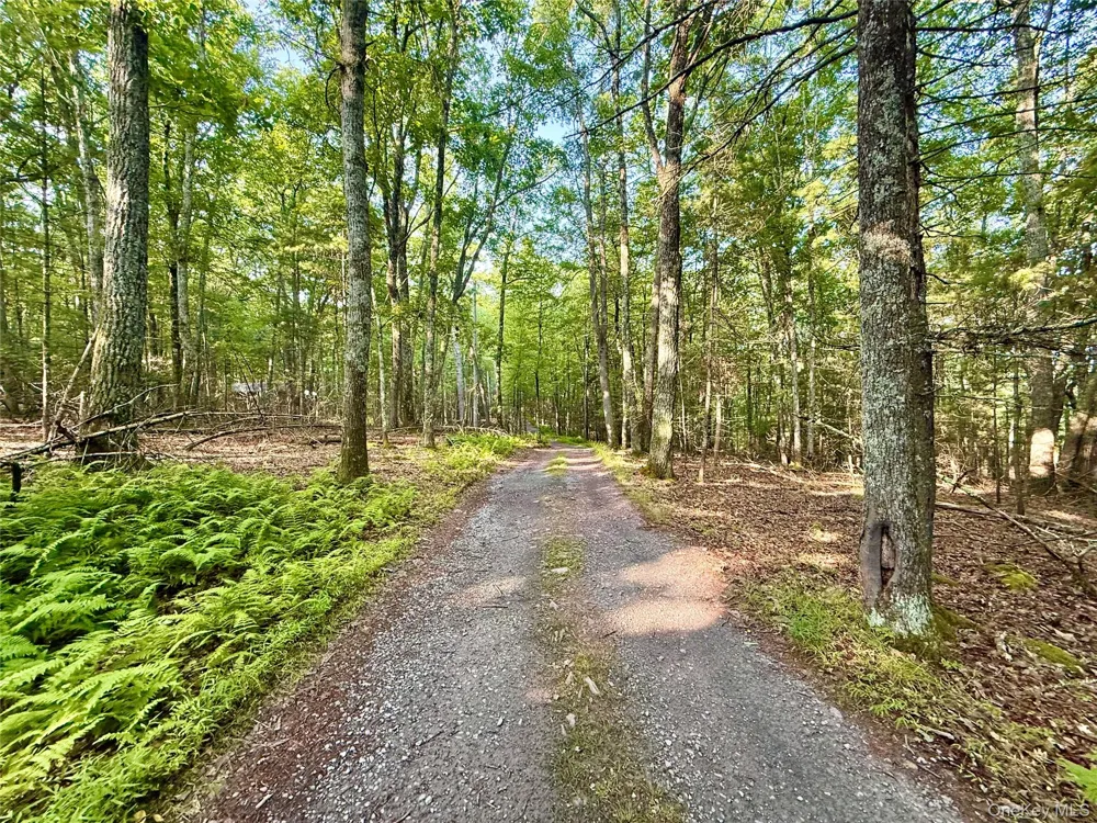 Marko Drive Yulan, NY 12528