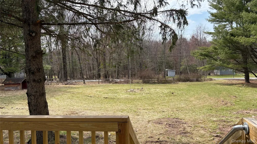107 Pinewood Road Cochecton, NY 12726