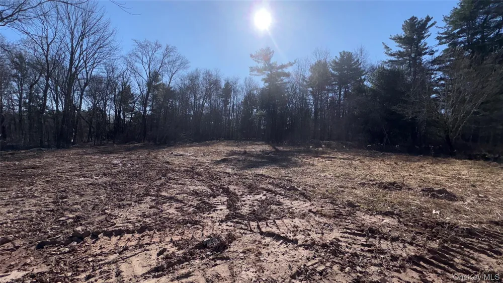 107 Pinewood Road Cochecton, NY 12726