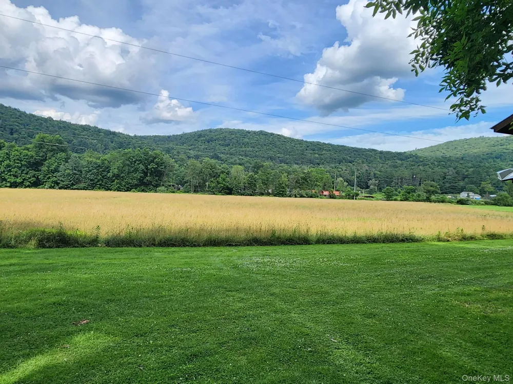 222 Stockport Road Hancock, NY 13783
